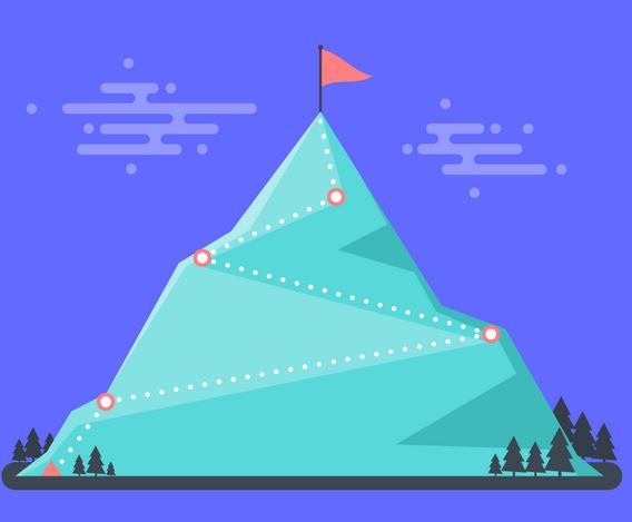 Project Life Cycle and Organization